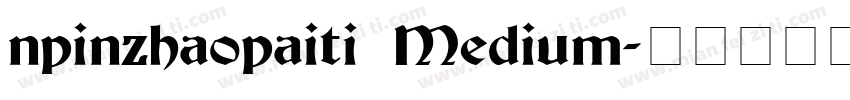 npinzhaopaiti Medium字体转换